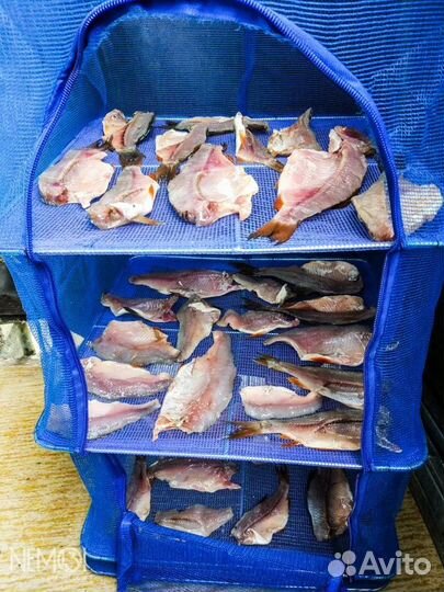 Сушилка для рыбы, овощей, фруктов и грибов