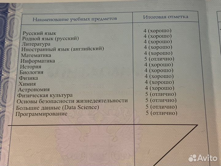 Репетитор по информатике