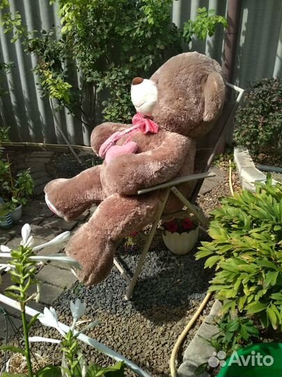 Огромный, мягкий мишка