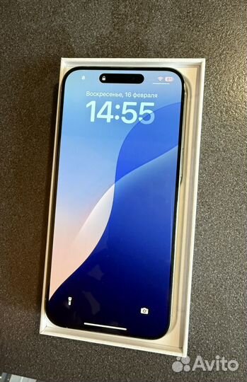 iPhone 15 Pro Max, 256 ГБ