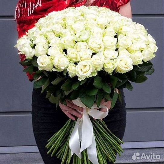 Высокие розы Гигантские Розы 150 160 170 180 190см