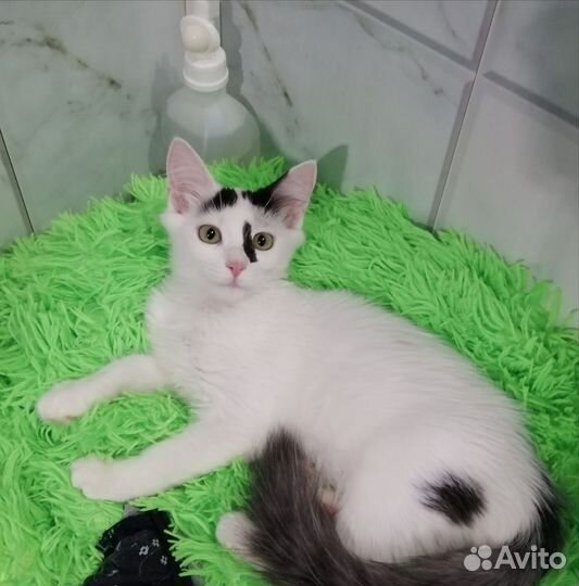 Помогите найти дом