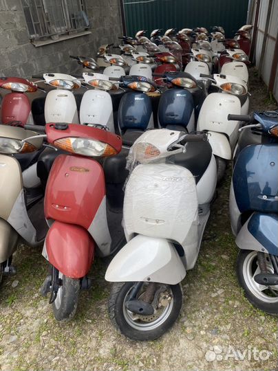 Honda tact 51 без пробега по РФ