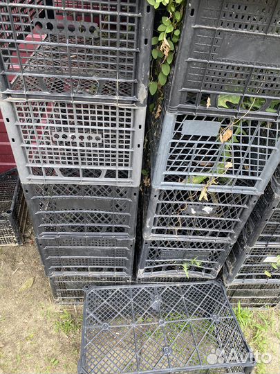 Пластиковая коробка