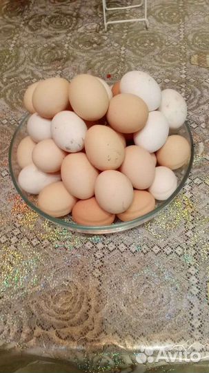 Яйцо куриное