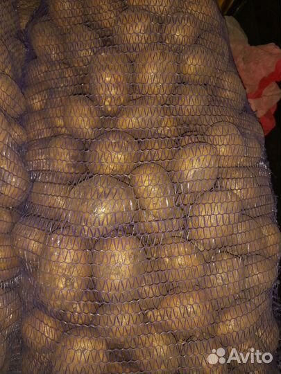 Продам картофель доставка до дома быстро