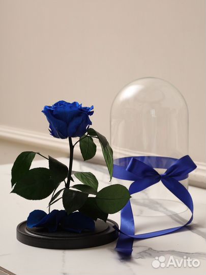 Роза синяя в колбе в упаковке с доставкой