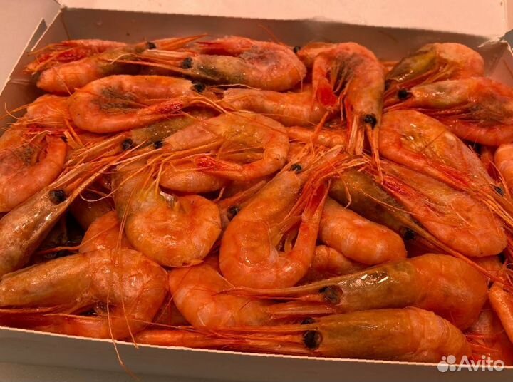 Креветка северная. Свежий улов. Опт