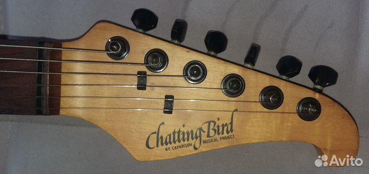 Электрогитара Caparison Chatting Bird CAS-2