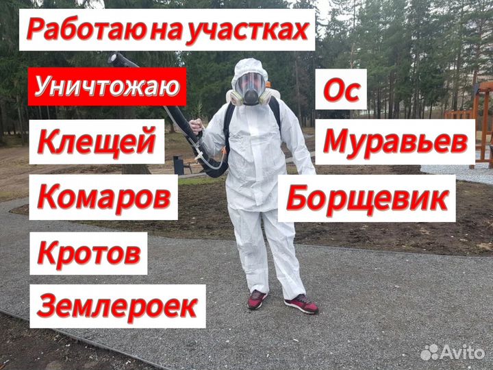 Травля тараканов клопов удаление плесени