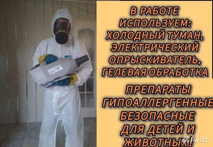 Дезинфекция, дезинсекция, тараканов, крыс, мышей