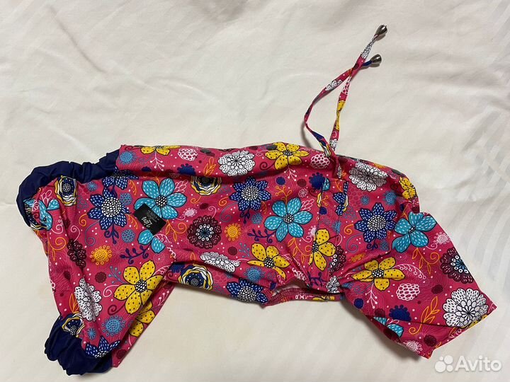 Дождевик для маленькой собаки