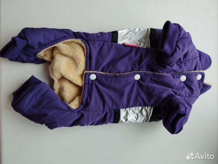 Одежда для собак и кошек