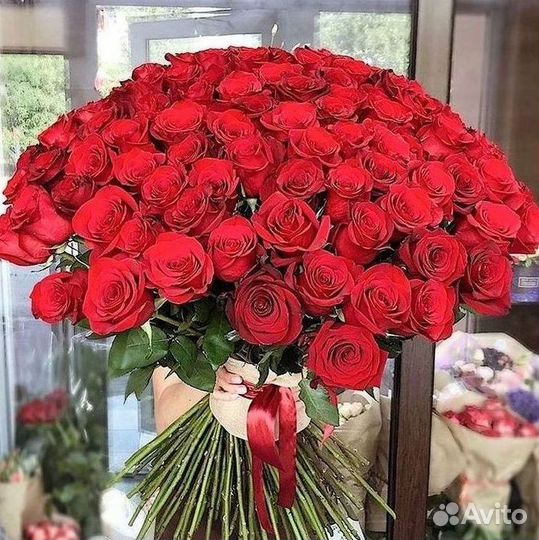 101 роза цветы букеты доставка 25 51 101 роза