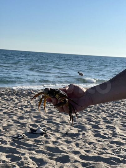 Участок 30 сот. (СНТ, ДНП)