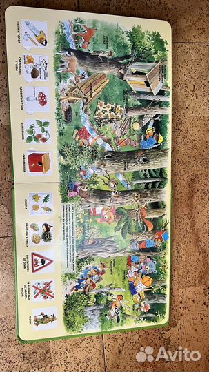 Детские книги с окошками