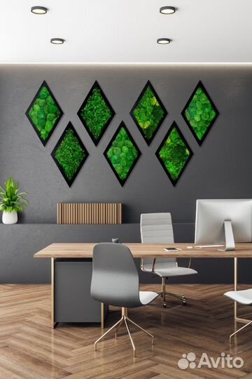 Стабилизированный мох в Краснодаре