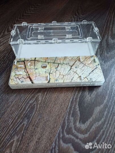 Муравьиная ферма без муравьев