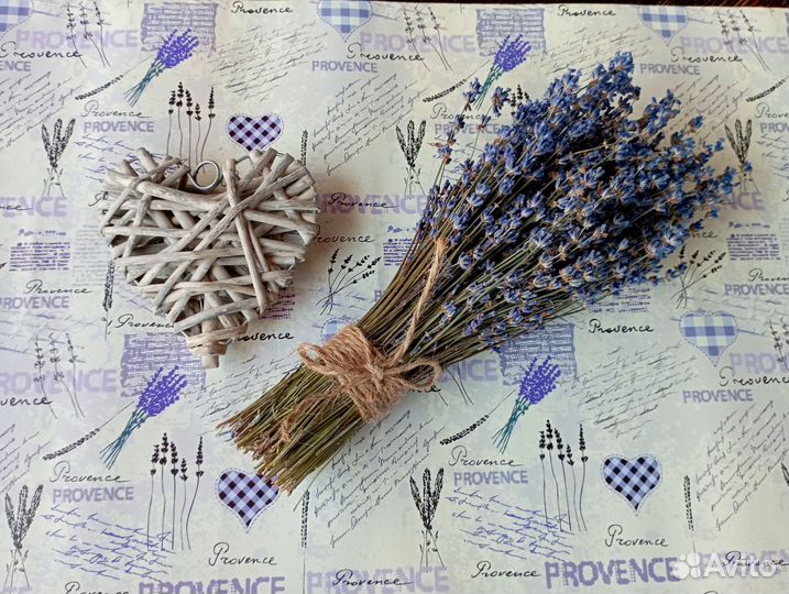 Лаванда сухоцвет