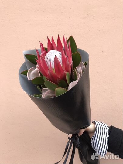 Королевская протея в стильной упаковке