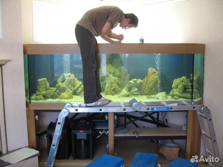 Обслуживание и дизайн аквариумов (профессионально)