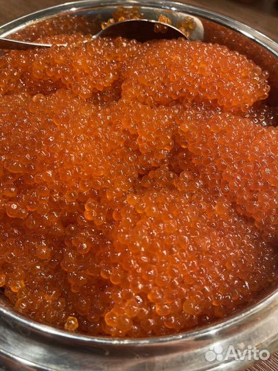 Красная икра горбуши