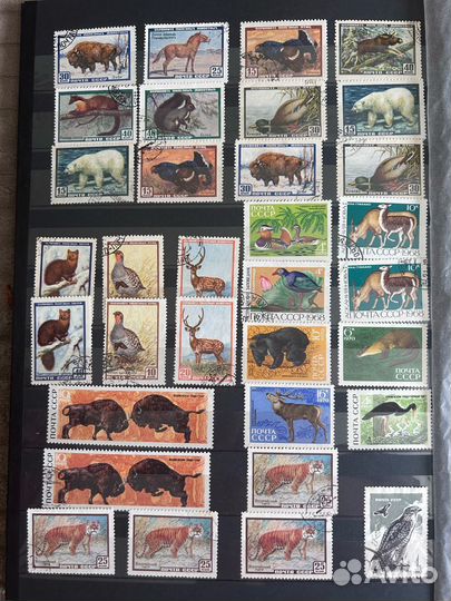 Почтовые марки СССР