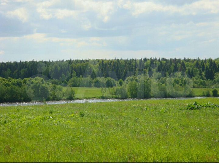 Участок 220 га (СНТ, ДНП)
