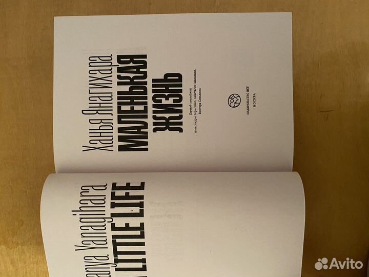 Маленькая жизнь ханья янагихара