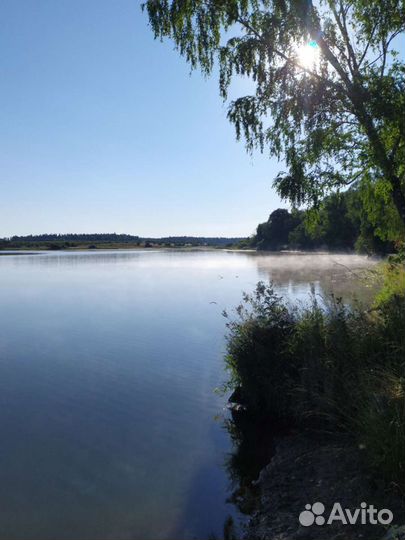 Платная рыбалка