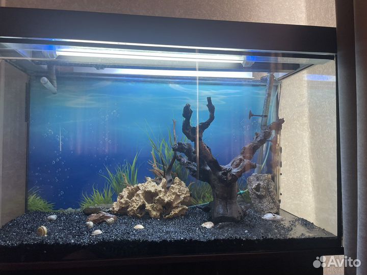 Аквариум