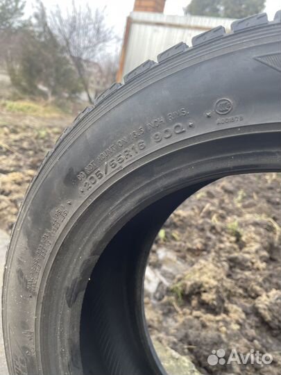 Dunlop Graspic DS2 205/55 R16