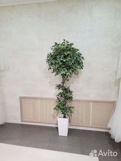 Фикус Премиум цветок дерево искусственное домой