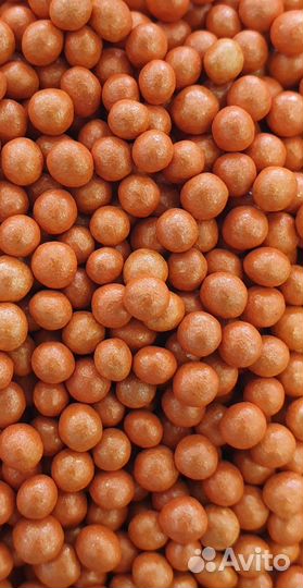 Протравливание, инкрустация семян, дражирование