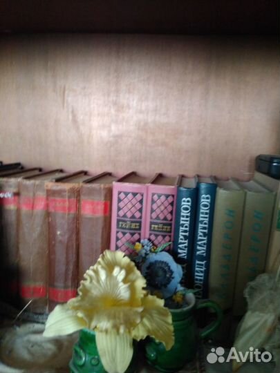Книги из домашней библиотеки