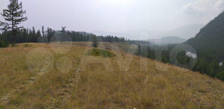 Участок 100 сот. (СНТ, ДНП)