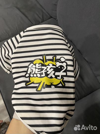 Толстовка для собак/кошек