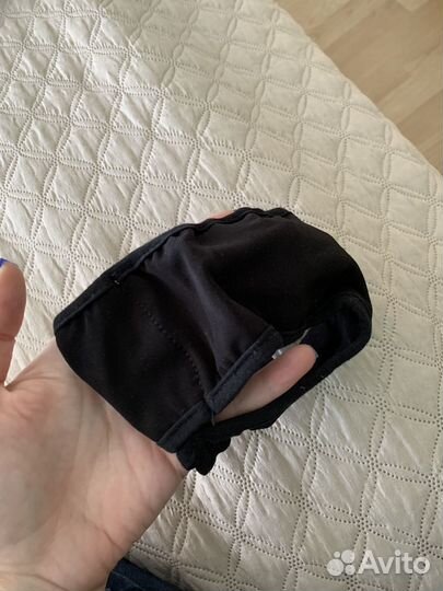 Трусы для собак при течке йорк той терьер чихов