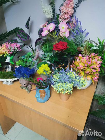 Трава, растения, деревья, цветы в кашпо. декор, от