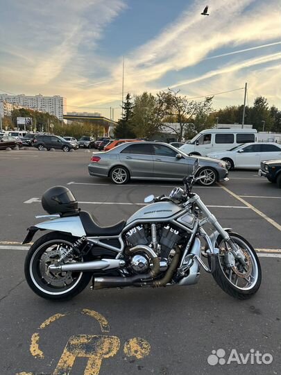 Harley Davidson V Rod 2011 юбилейный