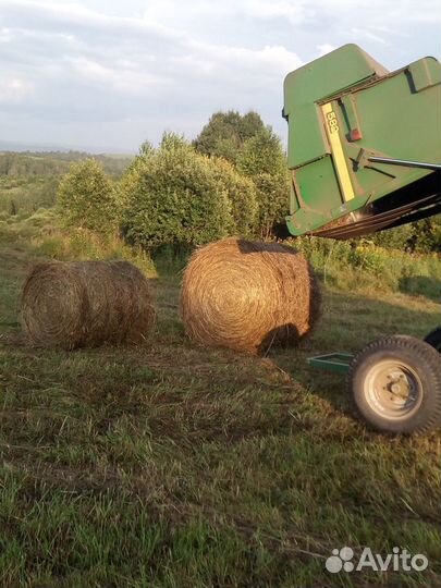 Сено в рулонах