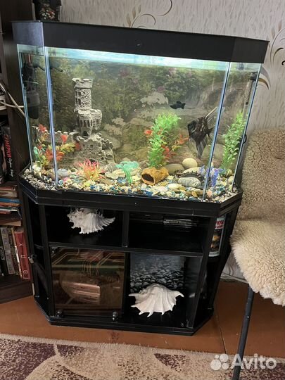 Аквариум с тумбой