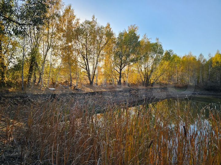 Участок 10 сот. (ИЖС)