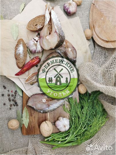 Рыба северная Язь Щука Щекур Мохтик Лещ Сырок