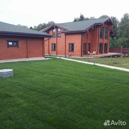 Рулонный газон, укладка, продажа