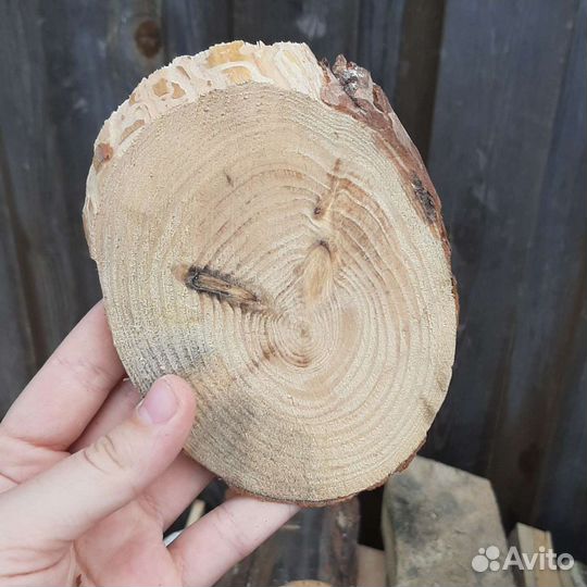 Срезы для поделок без обработки