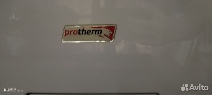 Газовый котел двухконтурный protherm