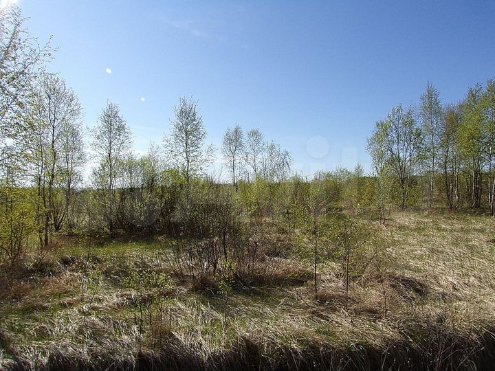 Участок 12 сот. (ИЖС)