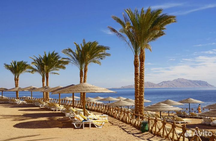 Тур путевка Шарм-эш-Шейх 7 ночей все вкл. от 1 чел