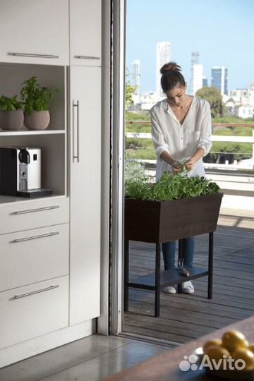 Грядка Urban Bloomer